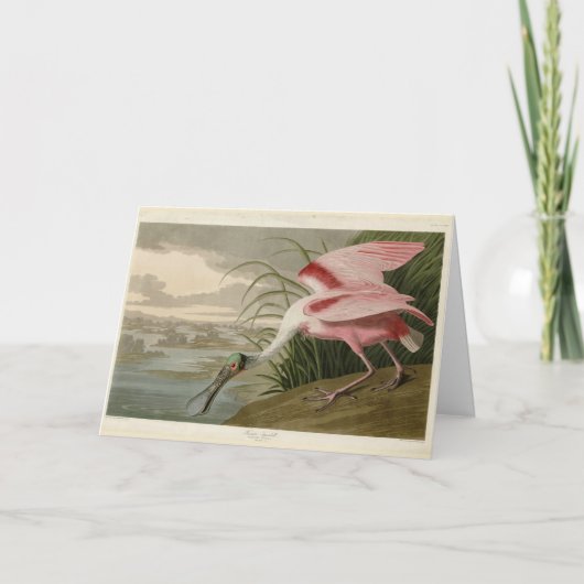 Carte Roseate Spoonbill from Audubon's Birds of America (Devant)