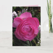 Carte RoseRed… (Devant)