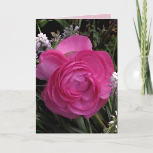 Carte RoseRed… (Devant)