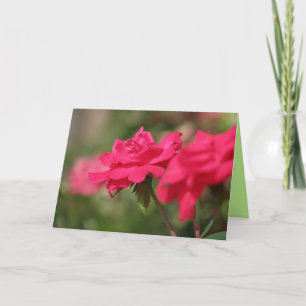 Carte Roses
