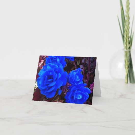 Carte Roses bleu électrique (Devant)