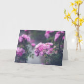 Carte Roses de choux (Fleur jaune)