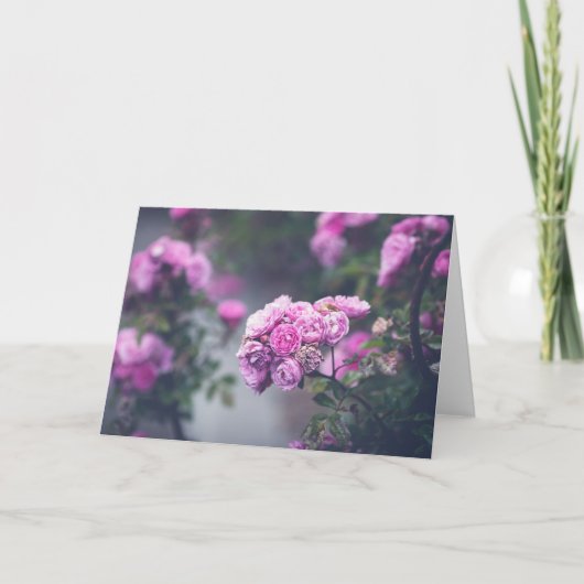 Carte Roses de choux (Devant)