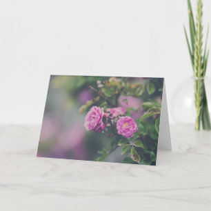 Carte Roses de choux