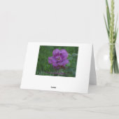 Carte Roses de Lavendar/Bien se tirer (Dos)