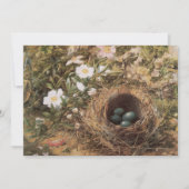 Carte Roses de nids d'oiseaux et de chiens par John Will (Devant)