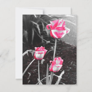 Carte Roses en forme de larme - Conception 2