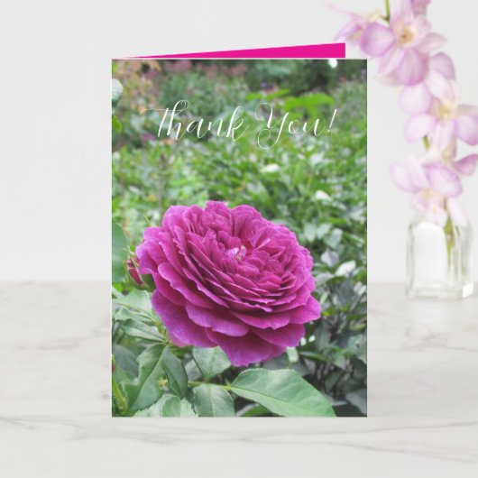 Carte Roses Folded Greeting Card (Orchidée)