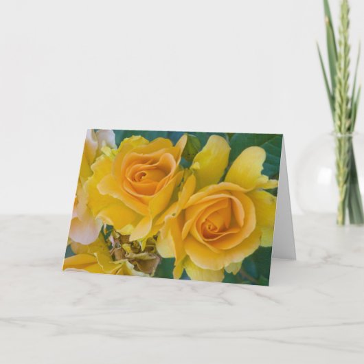 Carte "Roses jaunes # 253" (Devant)
