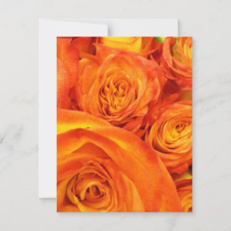 Carte Roses orange Fire
