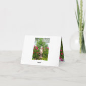 Carte Roses pour une petite fille (Dos)