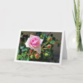 Carte Roses roses (Devant)