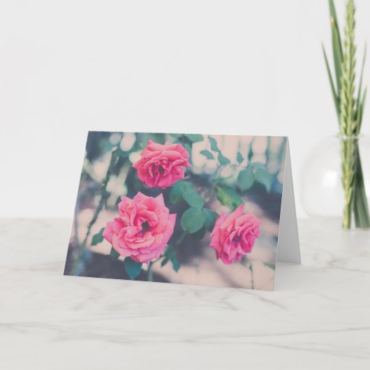 Carte Roses roses (Devant)