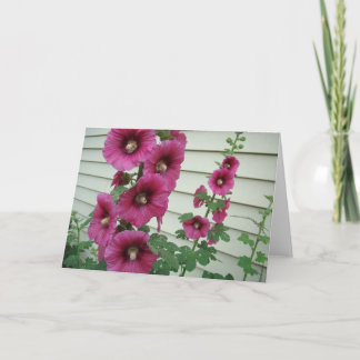 Carte Roses trémière glorieuses