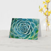 Carte Rosette d'Echeveria, Jardin Secret de Marrakech (Fleur jaune)