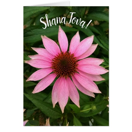 Carte Rosh Hashanah de confleur violet clair (Devant)