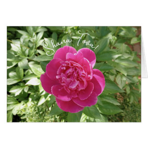 Carte Rosh Hashanah Rosh Peony Rosh Vibrant