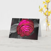 Carte Rosy Camellia Lee Hiller Photographie (Fleur jaune)