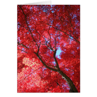 Carte rouge