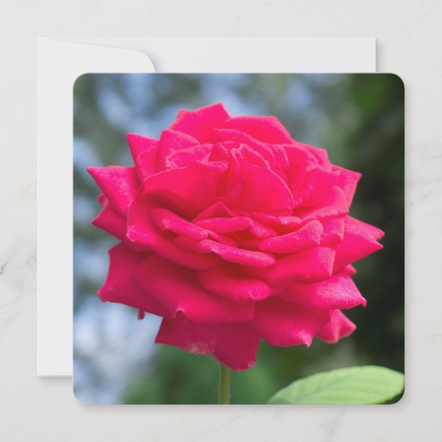 Carte Rouge (Devant)
