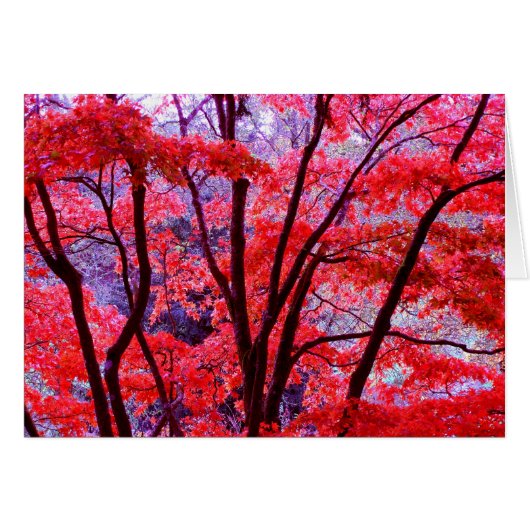 Carte rouge automne (Devant horizontal)