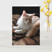 Carte Rouge avec le ragondin blanc du Maine au soleil (Fleur jaune)