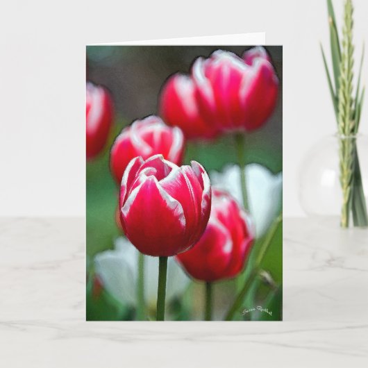 Carte Rouge, blanc et belle 2 (Devant)