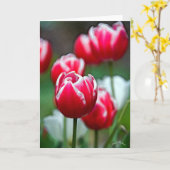 Carte Rouge, blanc et belle 2 (Fleur jaune)