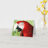 Carte Rouge brillant (Fleur jaune)