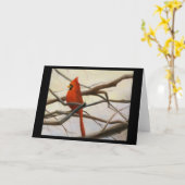 Carte "Rouge cardinal " (Fleur jaune)