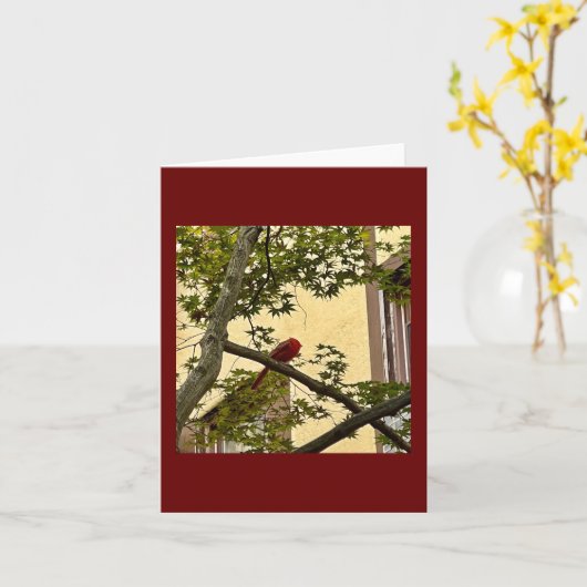 Carte rouge cardinal (Fleur jaune)