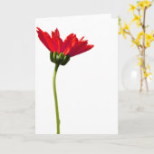 Carte Rouge Daisy Simplicité Toutes les occasions Saluta (Fleur jaune)