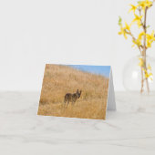 Carte Rouge dans l'herbe d'or (Fleur jaune)