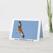 Carte rouge de cerf-volant (Dos)