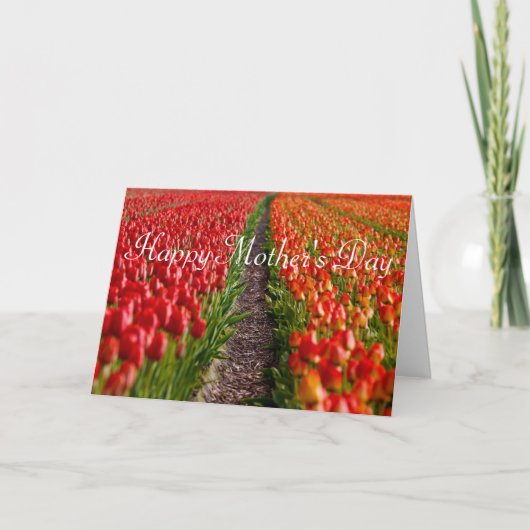 Carte rouge du jour de mère de champ de tulipe (Devant)