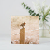 Carte Rouge-gorge d'hiver (Debout devant)
