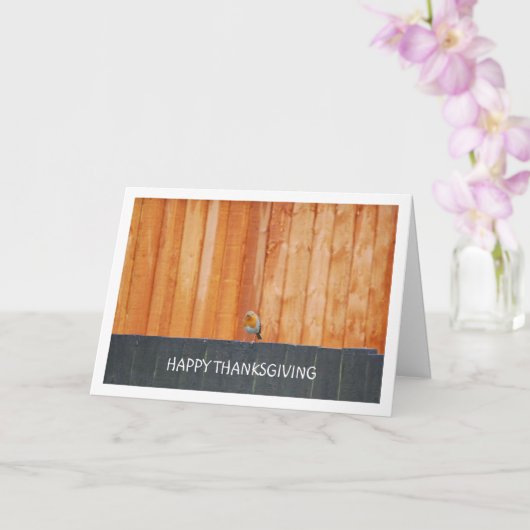 Carte Rouge-Gorge Sur Clôture (Orchidée)