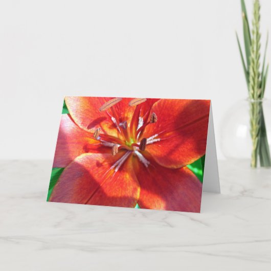 Carte Rouge Lily (Devant)