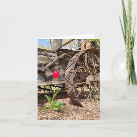 Carte rouge Tulip et Old Wagon (Devant)