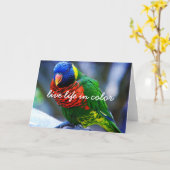 Carte Rouge Vert Bleu Oiseau Vie En Couleur Script Bold (Fleur jaune)