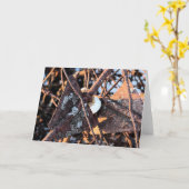 Carte Rouille de pois et champignons Vie morte (Fleur jaune)