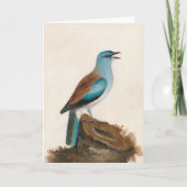 Carte Rouleau à grain | William Lewin (Devant)