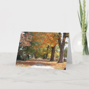 Carte Route de gloire