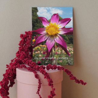 Carte Route vers la récupération Pink Dahlia Floral obte