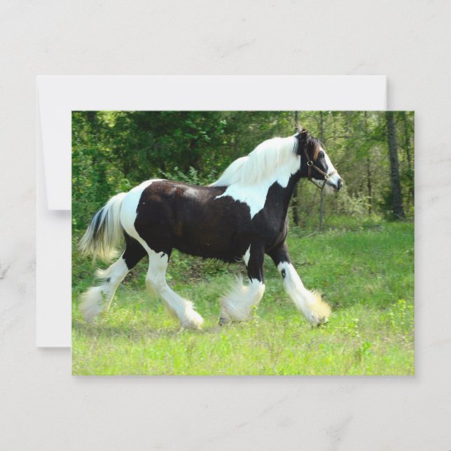 Carte Roxie (Devant)