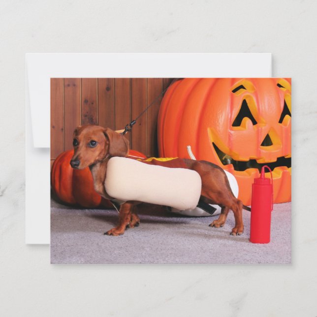 Carte Roxy - Mini Dachshund - Elliott (Devant)