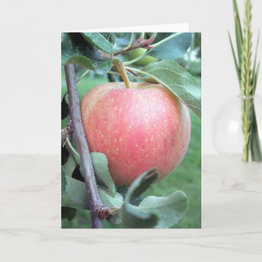 Carte Royal Gala Apple (Devant)