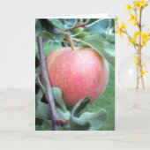 Carte Royal Gala Apple (Fleur jaune)