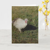 Carte Royal Palm Turkey (Fleur jaune)