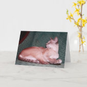 Carte royale d'anniversaire de chat (Fleur jaune)
